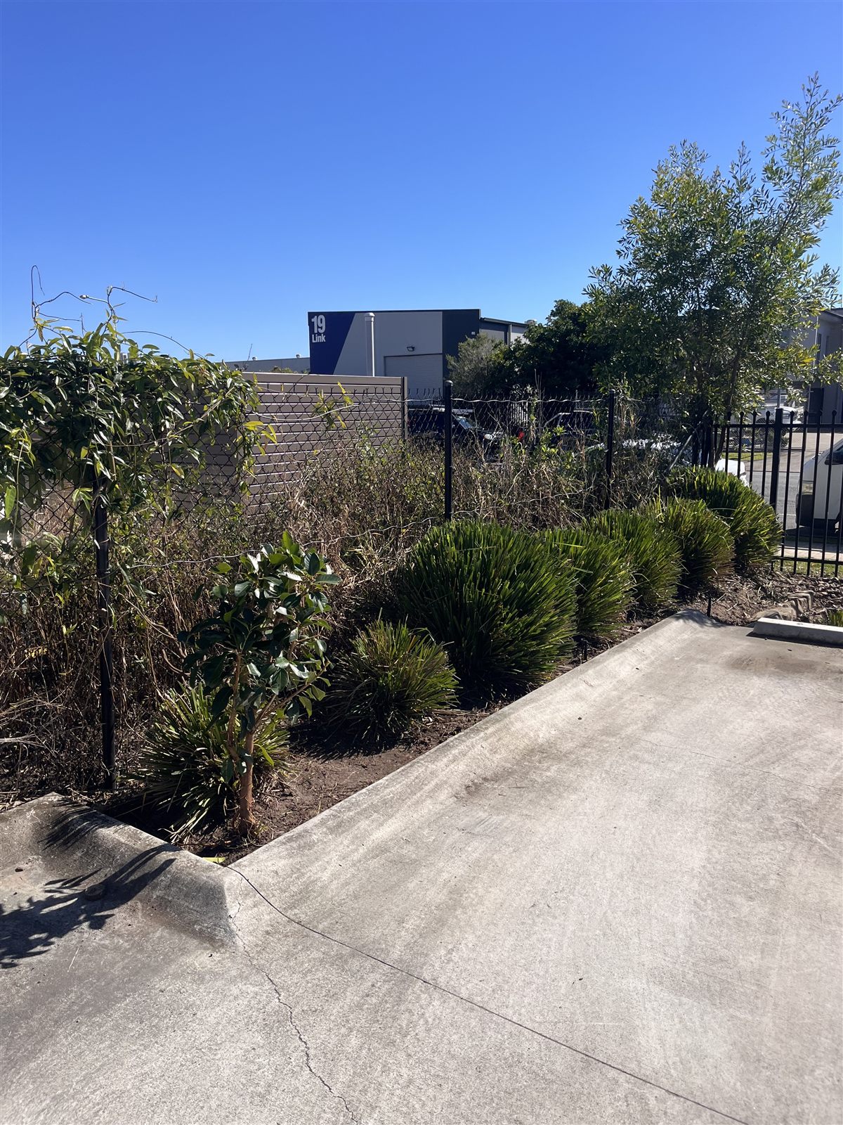 Garden cleanup after — Buderim, Sunshine Coast