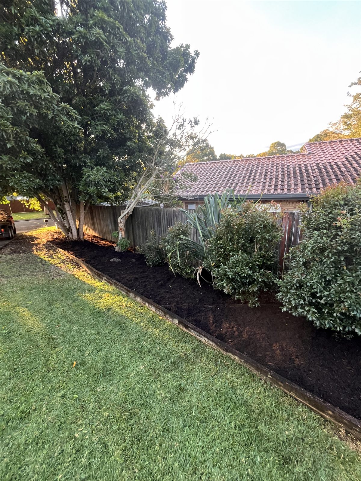Mulching after — Buderim, Sunshine Coast