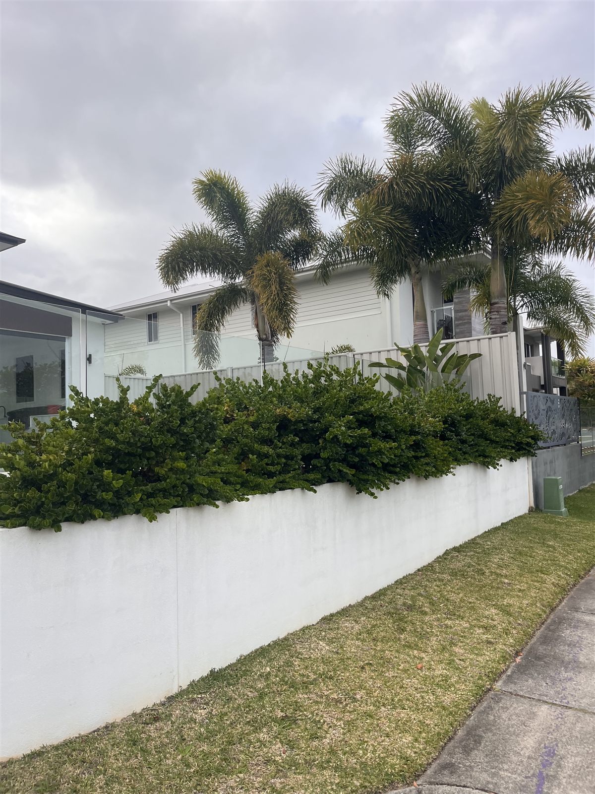 Hedge trimming before — Buderim, Sunshine Coast