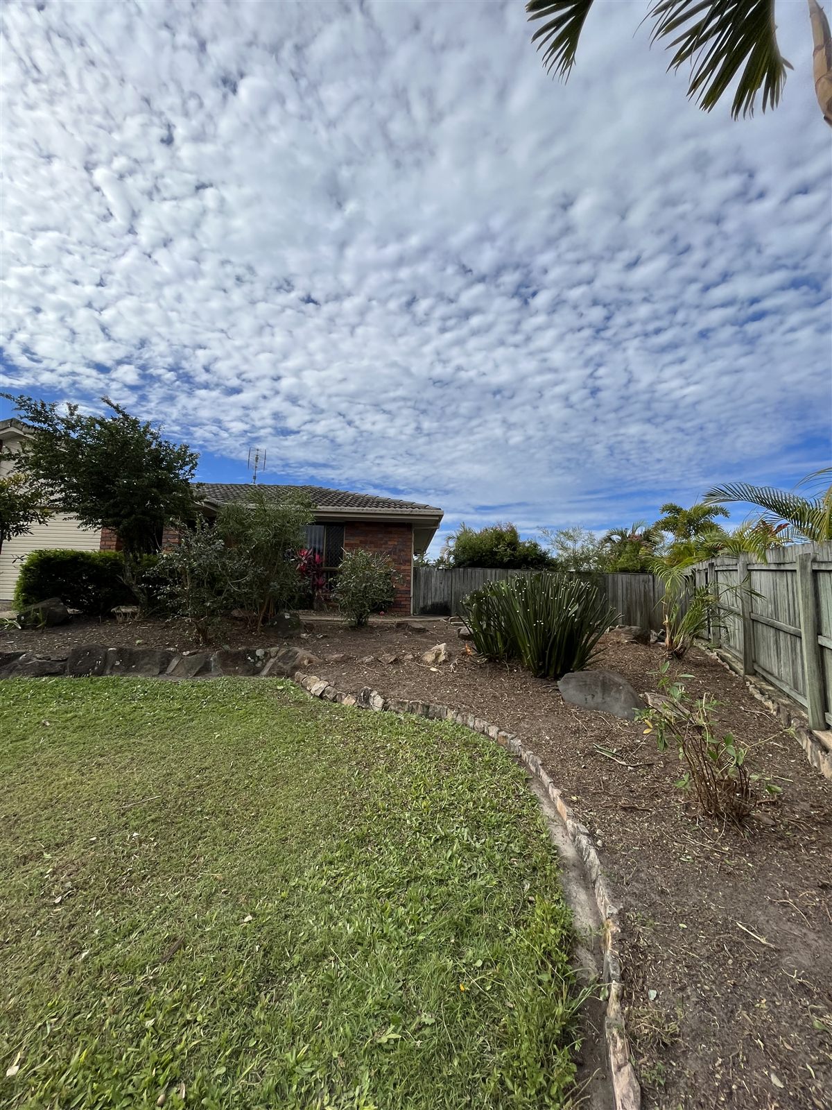 Weed control after — Buderim, Sunshine Coast