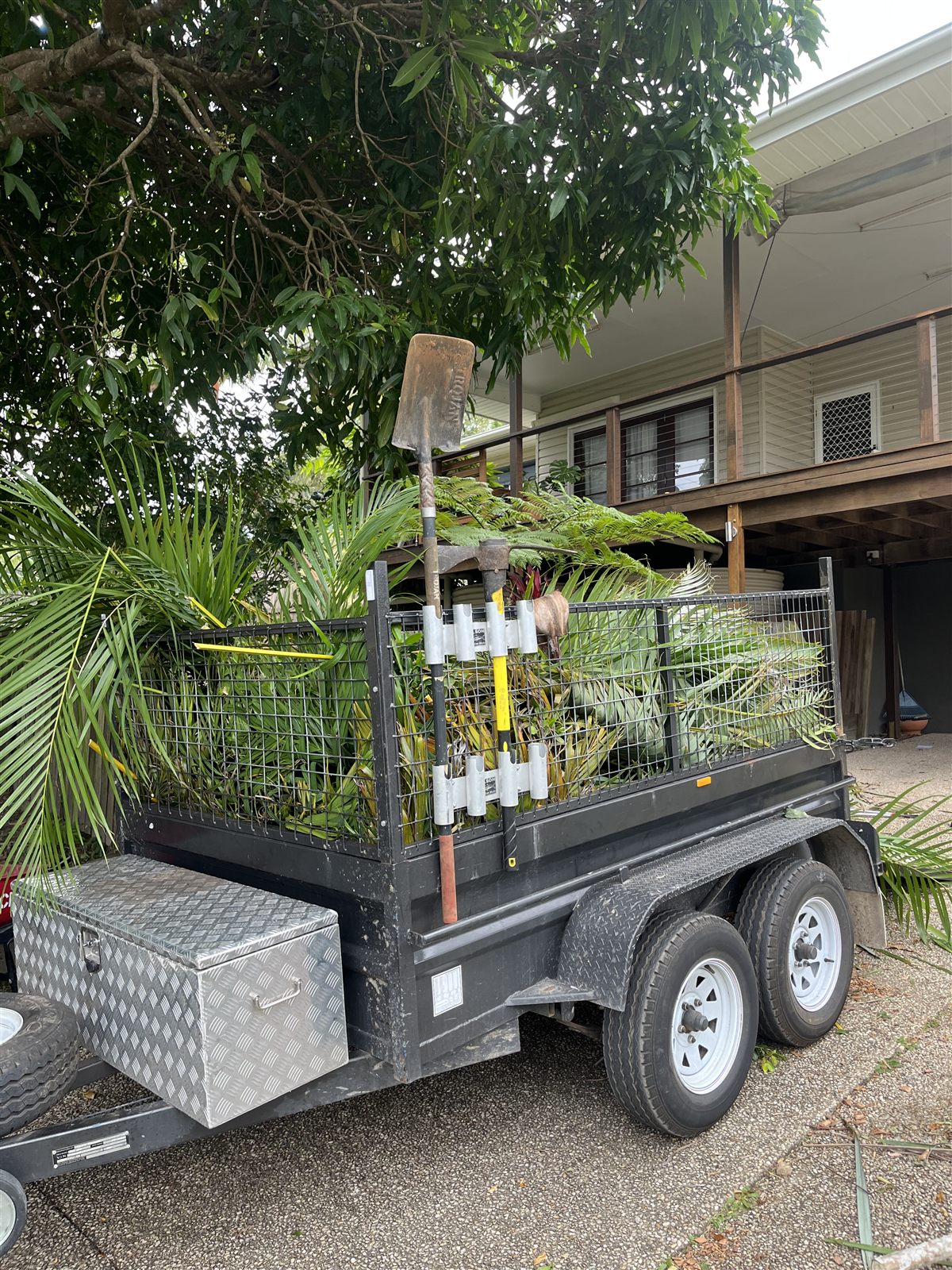 Green waste and rubbish removal after — Buderim, Sunshine Coast