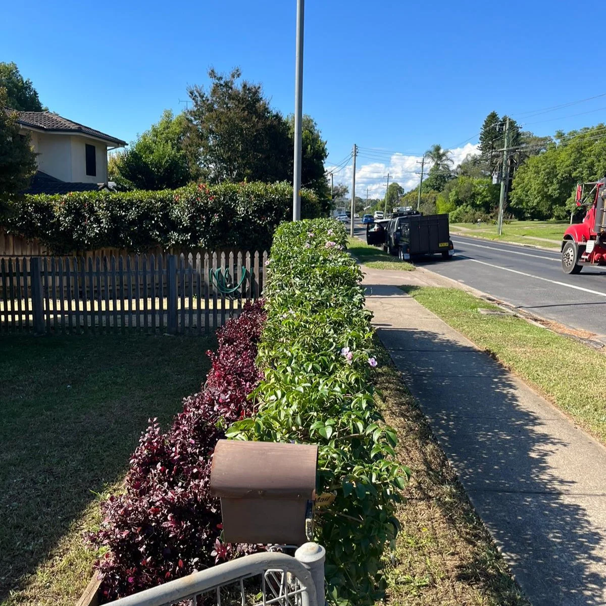 Hedge trimming